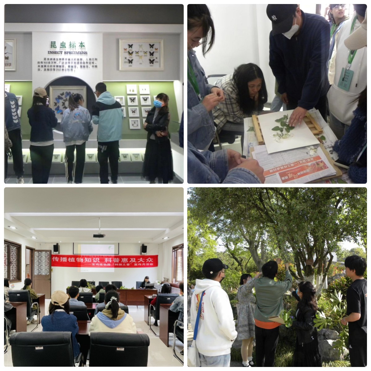 公司组织员工赴宝鸡市植物园参观学习 公司组织员工赴宝鸡市植物园参观学习